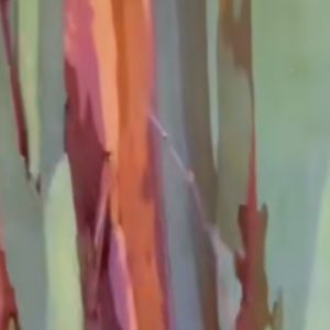 Meet your Posher, Addison